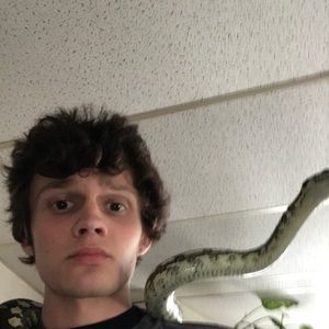 Meet your Posher, Declan